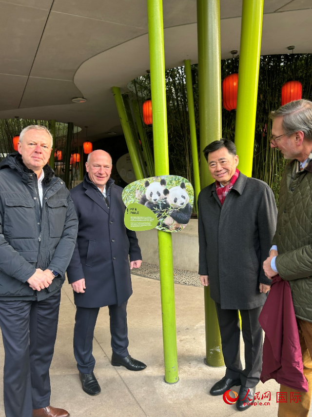 中國駐德國大使吳懇（右二）、柏林市長(cháng)韋格納（左二）、動(dòng)物園園長(cháng)克尼里姆（右一）和監事會(huì )主席布魯克曼（左一）共同為“夢(mèng)想”“夢(mèng)圓”大熊貓紀念牌揭幕。人民網(wǎng)記者 徐馨攝