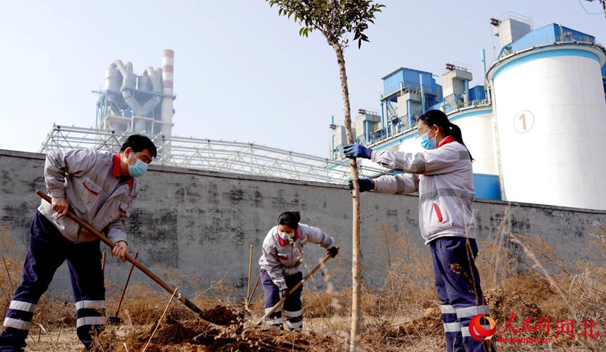 邢臺金隅職工在石邢公路沿線(xiàn)植樹(shù)。 宋繼昌攝