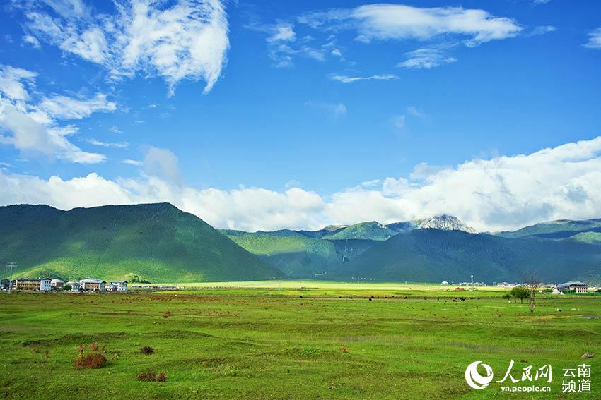 納帕海濕地風(fēng)景。呂昊辰攝