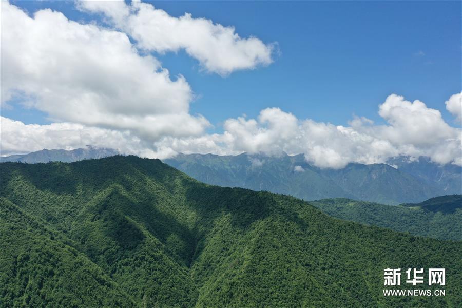 （新華視界）（1）甘肅舟曲：夏日藏鄉畫(huà)中景